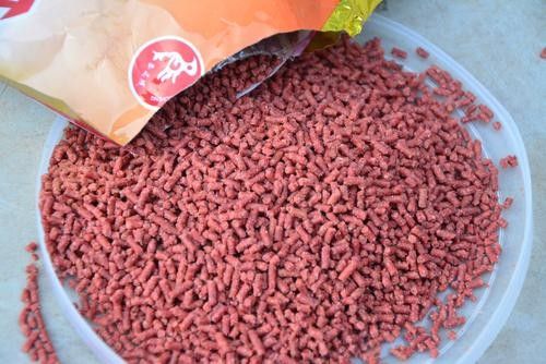 能再推薦幾款發色飼料嗎？（發色飼料推薦）