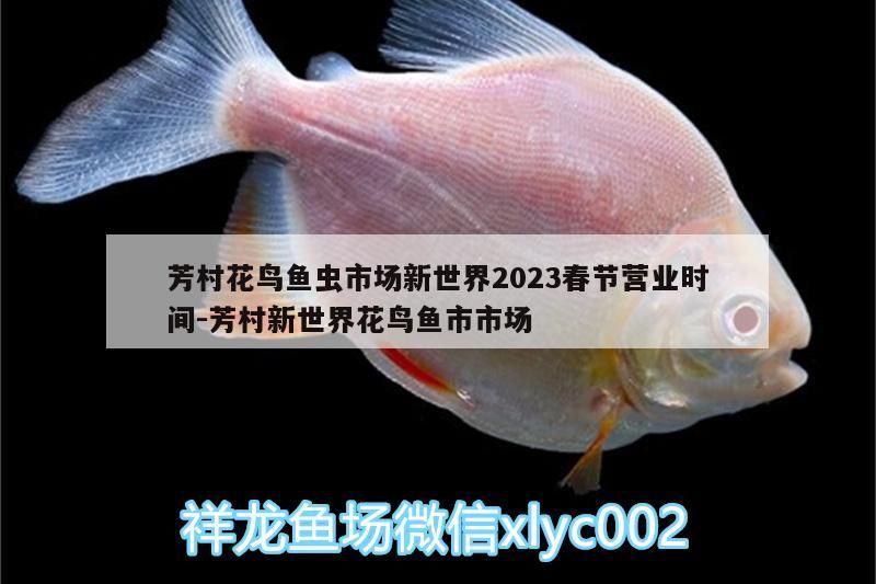 芳村花鳥魚蟲市場新世界2023春節營業時間:芳村新世界花鳥魚市市場（芳村花鳥市場新世界2023春節營業時間）