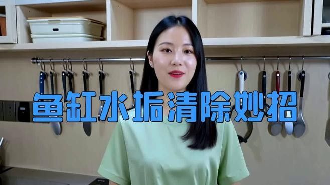 金龍魚缸多久清洗一次（金龍魚缸清洗頻率） 金龍魚缸多久清洗一次（金龍魚缸清洗頻率） 龍魚百科 第4張