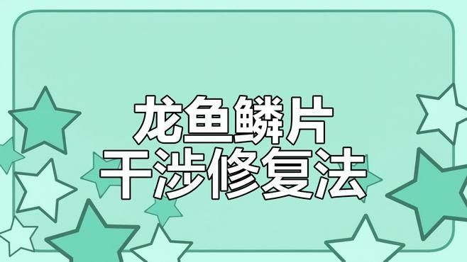 龍魚鱗片如何保養（龍魚鱗片如何保養？）