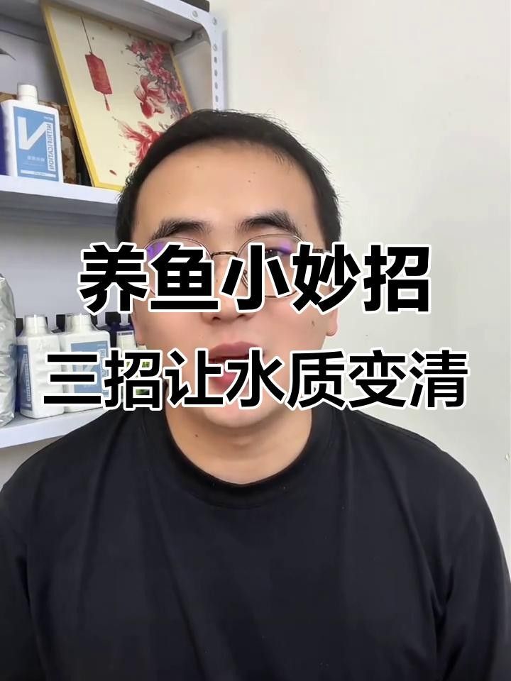 養魚缸水發綠色要怎么處理（ipoppy_魚缸水發綠了怎么解決） 養魚缸水發綠色要怎么處理（ipoppy_魚缸水發綠了怎么解決） 觀賞魚百科 第1張