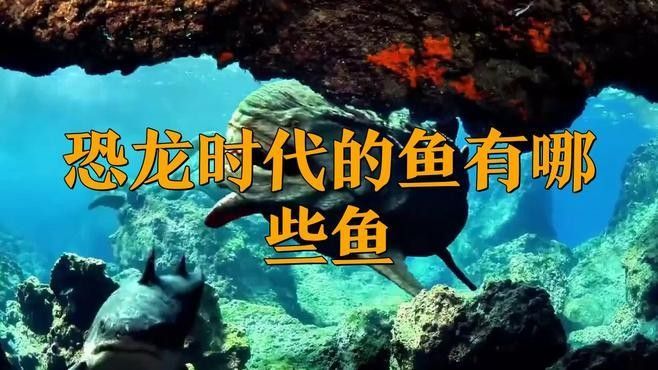 恐龍魚有哪些常見品種？（恐龍魚的種類及種類）