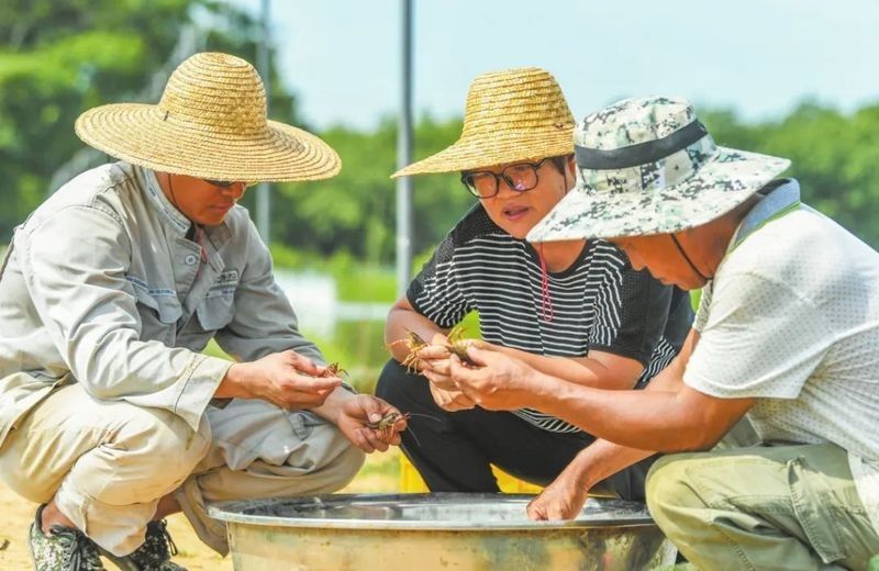 海口龍魚養(yǎng)殖場規(guī)模如何（海口龍魚養(yǎng)殖場的主要特點(diǎn)）