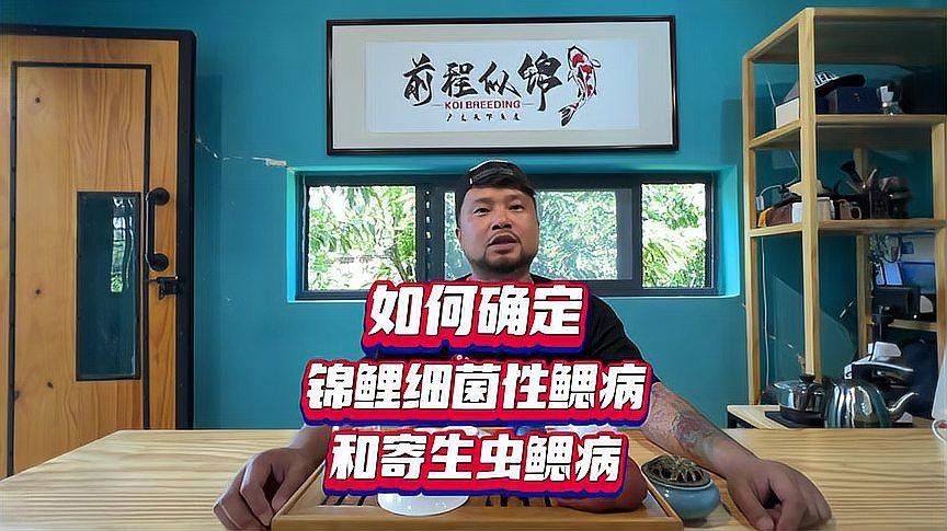 魚鰓上有水泡是什么原因（魚鰓上長水泡是什么原因引起的） 魚鰓上有水泡是什么原因（魚鰓上長水泡是什么原因引起的） 觀賞魚百科 第3張