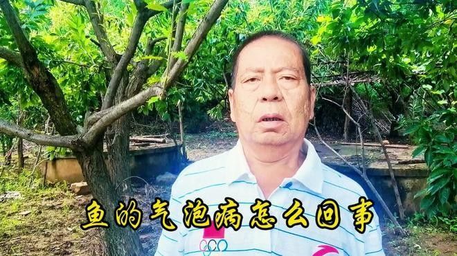 魚鰓上有水泡是什么原因（魚鰓上長水泡是什么原因引起的） 魚鰓上有水泡是什么原因（魚鰓上長水泡是什么原因引起的） 觀賞魚百科 第5張
