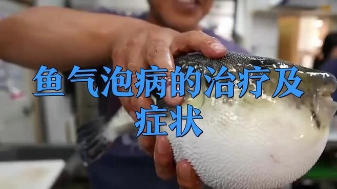 魚鰓上有水泡是什么原因（魚鰓上長水泡是什么原因引起的） 魚鰓上有水泡是什么原因（魚鰓上長水泡是什么原因引起的） 觀賞魚百科 第6張