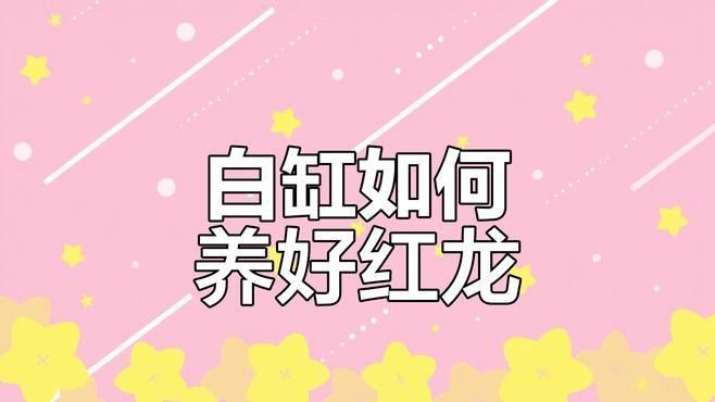 白水紅龍魚（白水紅龍魚和白水紅龍魚有什么區別？）