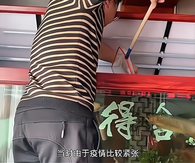 姜先生是如何發現金龍魚生病的（石家莊一男子殺金龍魚做菜:2500元買的）