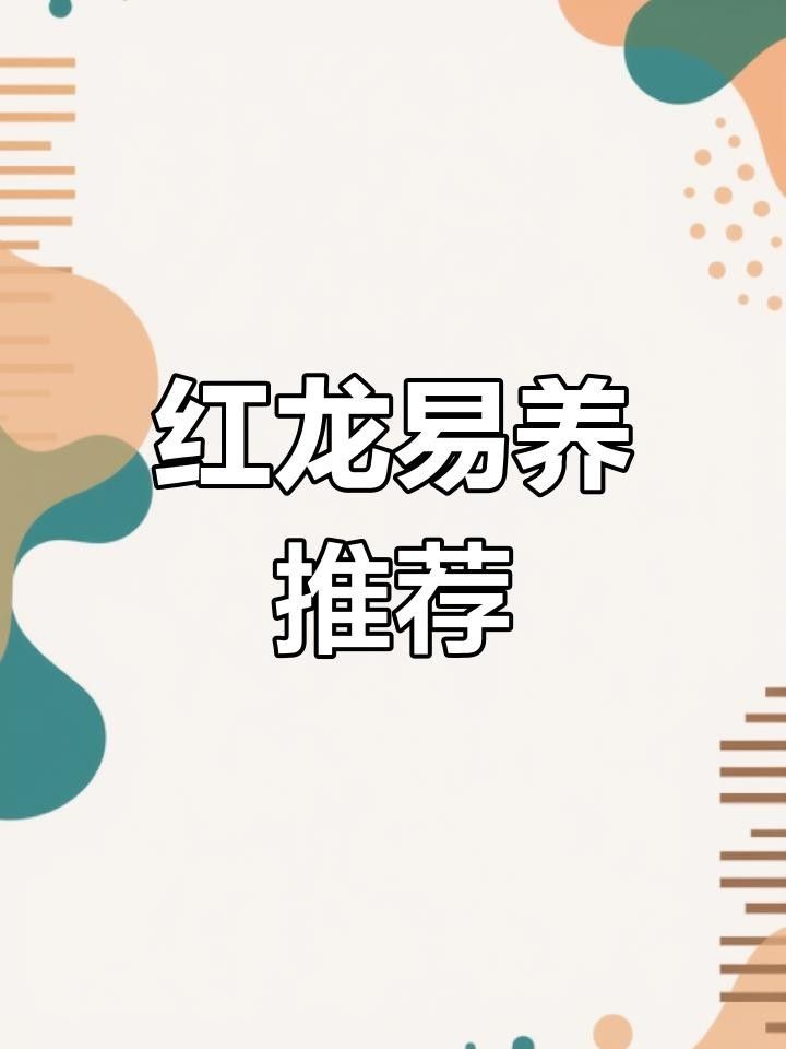 超血紅龍和血麒麟紅龍的區(qū)別