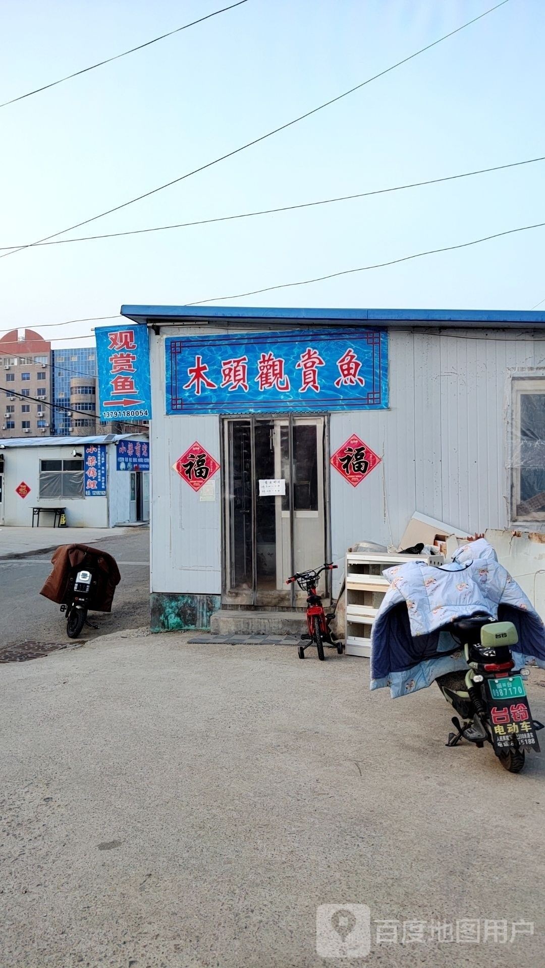 招遠觀賞魚市場（招遠觀賞魚市場的價格如何？）