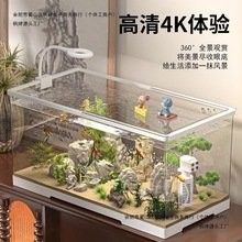 有沒有推薦的合肥龍魚論壇？（合肥地區(qū)龍魚愛好者協(xié)會推薦論壇）