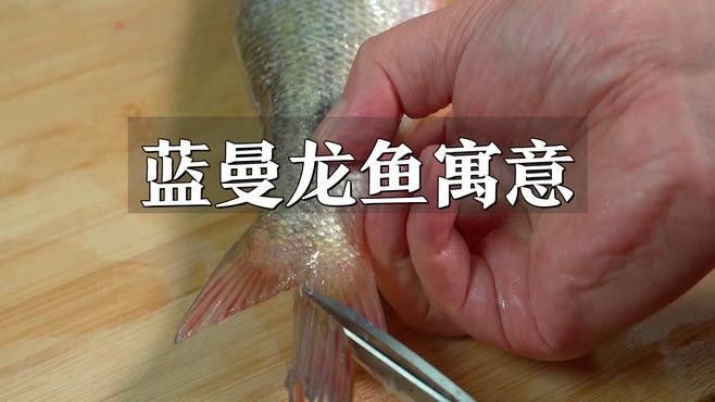藍龍魚寓意（藍龍魚和紅龍魚有什么區別，藍龍魚的五大寓意和寓意）