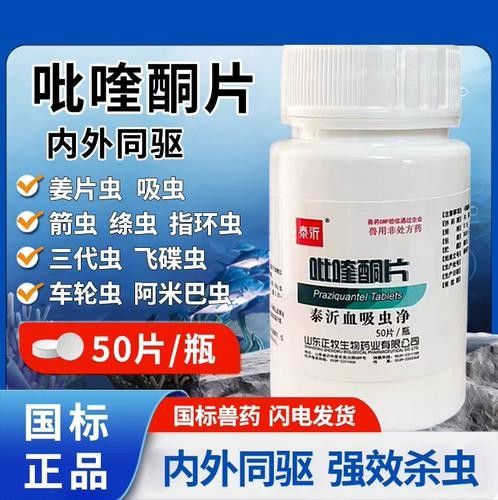 龍南龍魚（龍南龍魚品種或具體飼養(yǎng)技巧龍魚飼養(yǎng)全攻略）