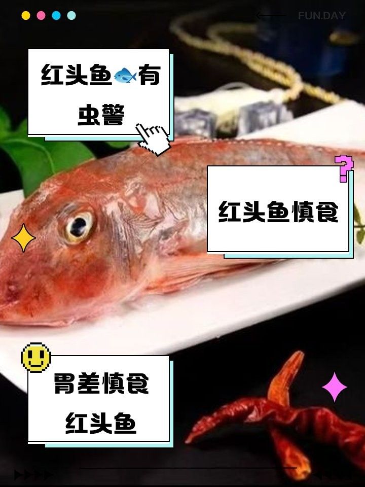 紅頭魚為何要盡量少吃（海上森林一只貓,紅頭魚為何盡量少吃） 紅頭魚為何要盡量少吃（海上森林一只貓,紅頭魚為何盡量少吃） 觀賞魚百科 第5張