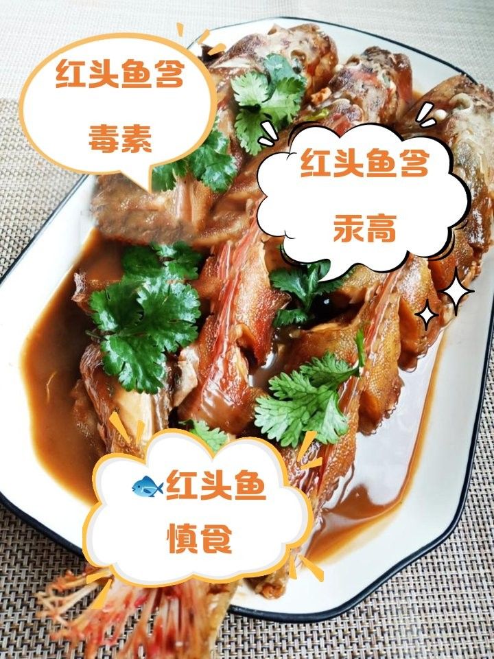 紅頭魚為何要盡量少吃（海上森林一只貓,紅頭魚為何盡量少吃） 紅頭魚為何要盡量少吃（海上森林一只貓,紅頭魚為何盡量少吃） 觀賞魚百科 第4張