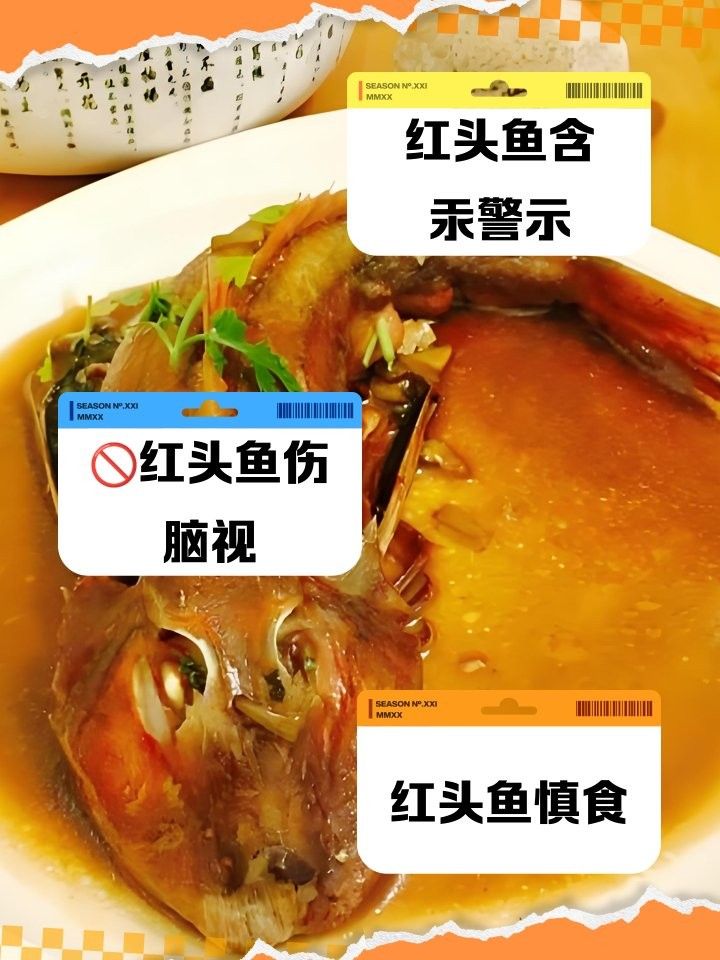 紅頭魚為何要盡量少吃（海上森林一只貓,紅頭魚為何盡量少吃） 紅頭魚為何要盡量少吃（海上森林一只貓,紅頭魚為何盡量少吃） 觀賞魚百科 第3張