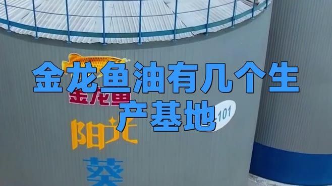 藍(lán)鉆金龍魚的市場(chǎng)需求如何 藍(lán)鉆金龍魚的市場(chǎng)需求如何 龍魚百科 第3張