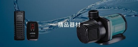 龍魚之巔有哪些特色功能？（龍魚之巔的特色功能） 龍魚之巔有哪些特色功能？（龍魚之巔的特色功能） 龍魚百科 第3張
