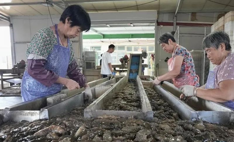 樂亭哪個水族館龍魚好？祥龍魚場龍魚（上海海洋水族館的龍魚品種有哪些祥龍魚場有哪些） 樂亭哪個水族館龍魚好？祥龍魚場龍魚（上海海洋水族館的龍魚品種有哪些祥龍魚場有哪些） 龍魚百科 第9張