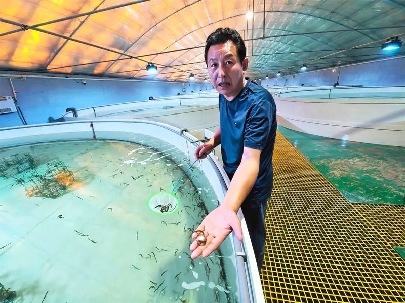 樂亭哪個水族館龍魚好？祥龍魚場龍魚（上海海洋水族館的龍魚品種有哪些祥龍魚場有哪些） 樂亭哪個水族館龍魚好？祥龍魚場龍魚（上海海洋水族館的龍魚品種有哪些祥龍魚場有哪些） 龍魚百科 第7張