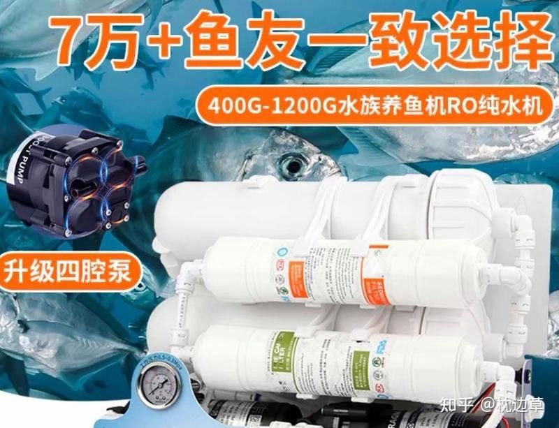如何降低水質中的硝酸鹽（降低水質中的硝酸鹽含量的方法） 如何降低水質中的硝酸鹽（降低水質中的硝酸鹽含量的方法） 龍魚百科 第2張