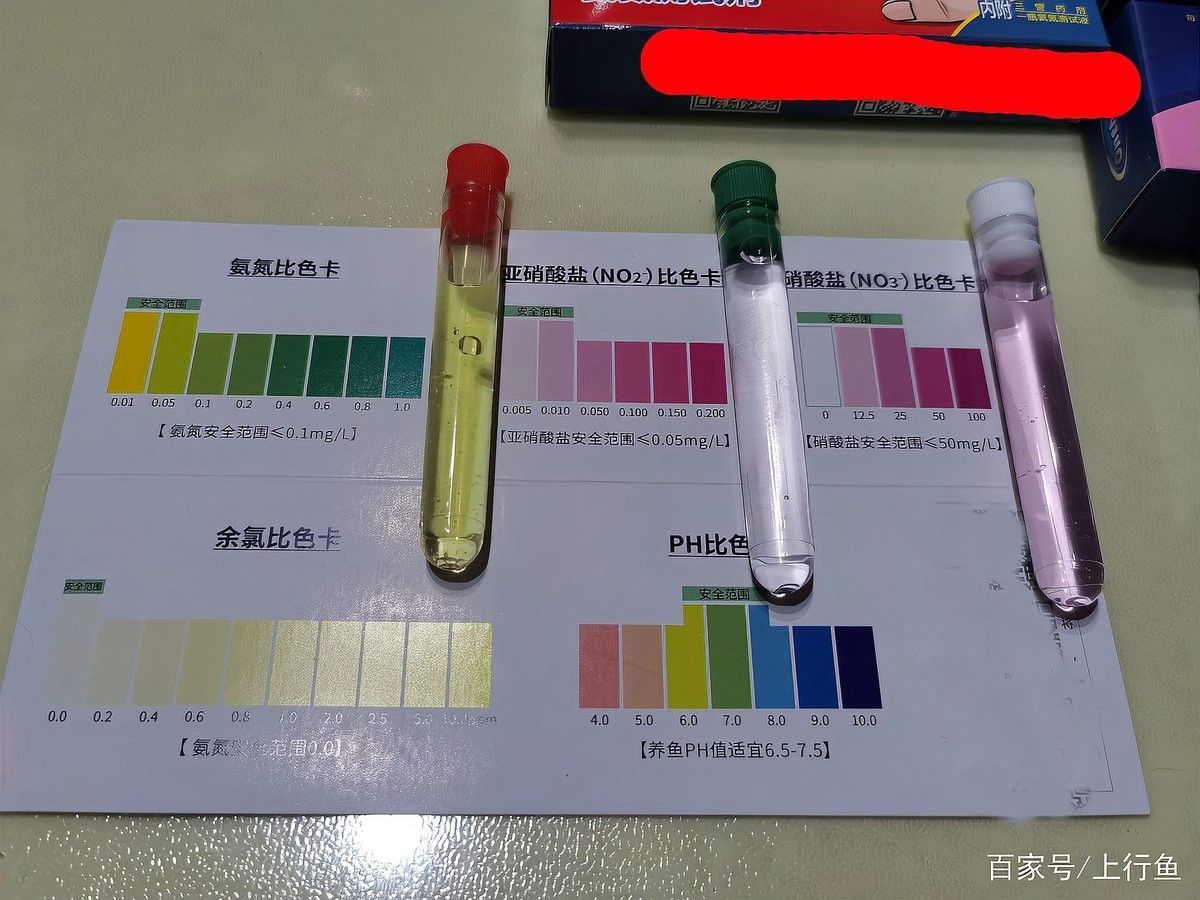 如何降低水質中的硝酸鹽（降低水質中的硝酸鹽含量的方法） 如何降低水質中的硝酸鹽（降低水質中的硝酸鹽含量的方法） 龍魚百科 第6張