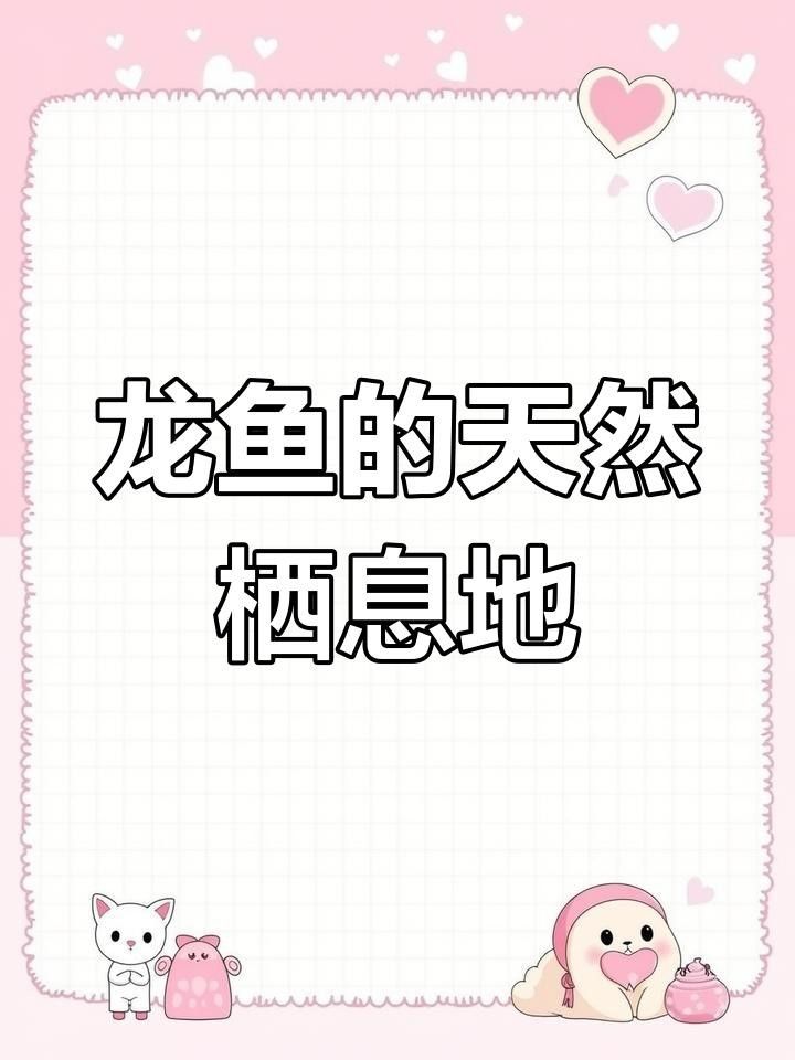 東源龍魚是什么魚（東源龍魚是什么？） 東源龍魚是什么魚（東源龍魚是什么？） 觀賞魚百科 第2張