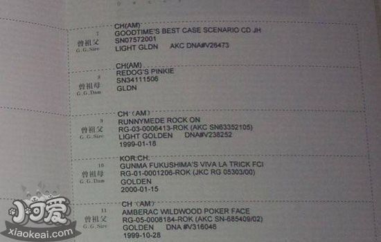 血統證書如何辨別真偽？（如何鑒別血統證書的真偽）
