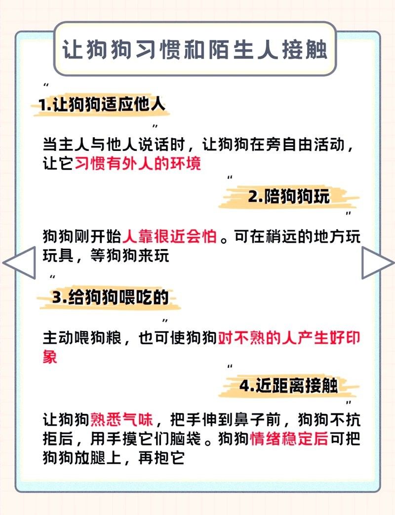 紅龍犬社會化訓練有哪些具體方法（狗狗社會化訓練需要多長時間，紅龍犬社會化訓練攻略） 紅龍犬社會化訓練有哪些具體方法（狗狗社會化訓練需要多長時間，紅龍犬社會化訓練攻略） 龍魚百科 第6張
