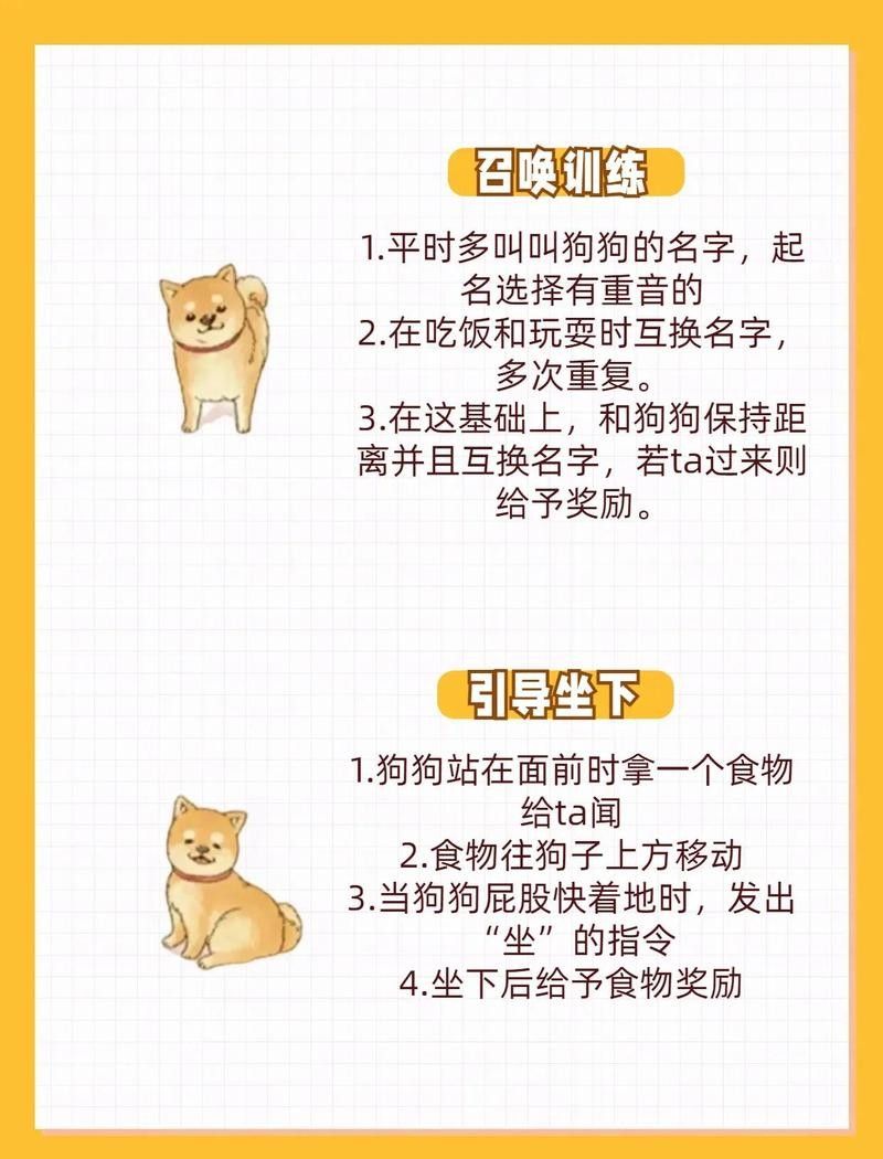 紅龍犬社會化訓練有哪些具體方法（狗狗社會化訓練需要多長時間，紅龍犬社會化訓練攻略） 紅龍犬社會化訓練有哪些具體方法（狗狗社會化訓練需要多長時間，紅龍犬社會化訓練攻略） 龍魚百科 第7張