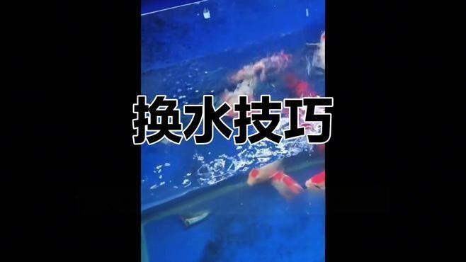 換水后如何調整水溫
