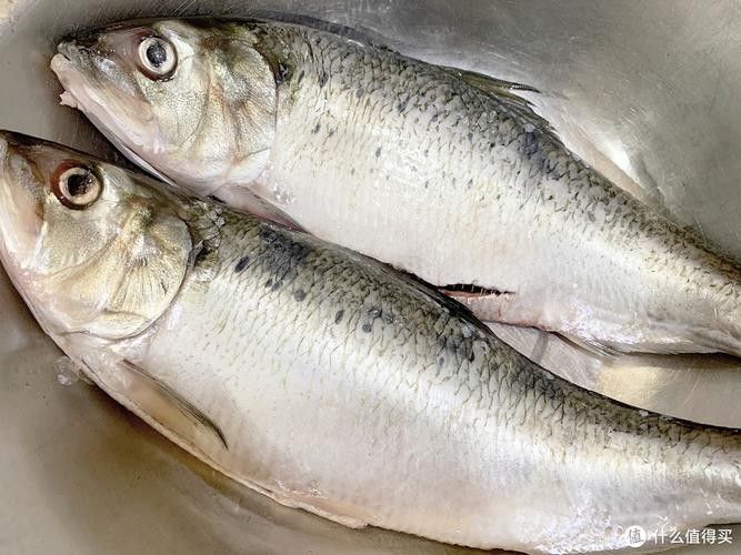 江西婺源什么魚有名