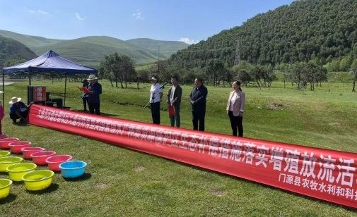 甘肅有什么魚種 甘肅有什么魚種 觀賞魚百科 第8張