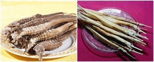 干煸海龍魚是什么魚（干煸海龍魚的做法） 干煸海龍魚是什么魚（干煸海龍魚的做法） 觀賞魚百科 第2張