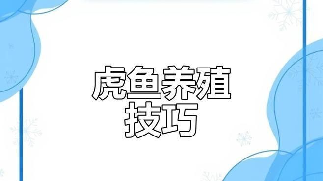 給我推薦更多龍魚和虎魚的視頻資源（關(guān)于龍魚和虎魚的視頻資源推薦） 給我推薦更多龍魚和虎魚的視頻資源（關(guān)于龍魚和虎魚的視頻資源推薦） 龍魚百科 第2張