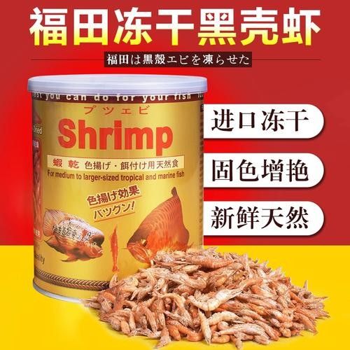福田大型魚揚色蝦干紅蟲龍魚（福田大型魚揚色蝦干紅蟲龍魚怎么養紅龍魚價格及圖片欣賞）