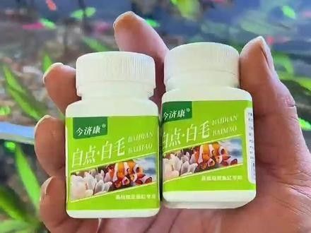 龍魚尾巴紅血絲需要多久治療