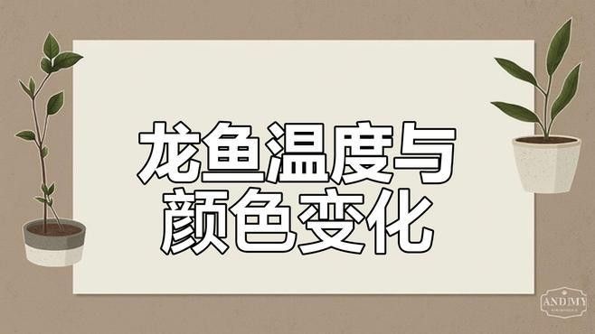 龍魚在不同溫度下的行為變化（養龍魚應該注意什么） 龍魚在不同溫度下的行為變化（養龍魚應該注意什么） 龍魚百科 第2張