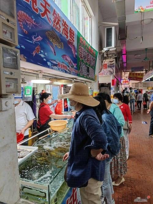 葵龍魚的市場價格（葵龍魚的市場價格波動） 葵龍魚的市場價格（葵龍魚的市場價格波動） 龍魚百科 第4張