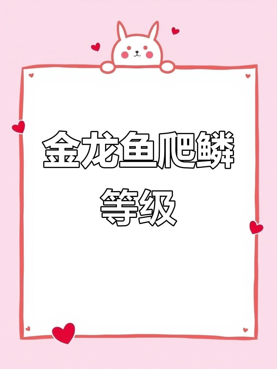 陽(yáng)信金龍魚是什么檔次的魚（熱帶觀賞魚之王——金龍魚） 陽(yáng)信金龍魚是什么檔次的魚（熱帶觀賞魚之王——金龍魚） 觀賞魚百科 第7張
