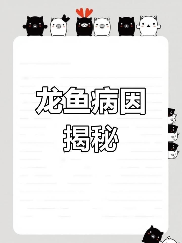 龍魚頭洞病怎么治療（如何治療龍魚頭洞病）