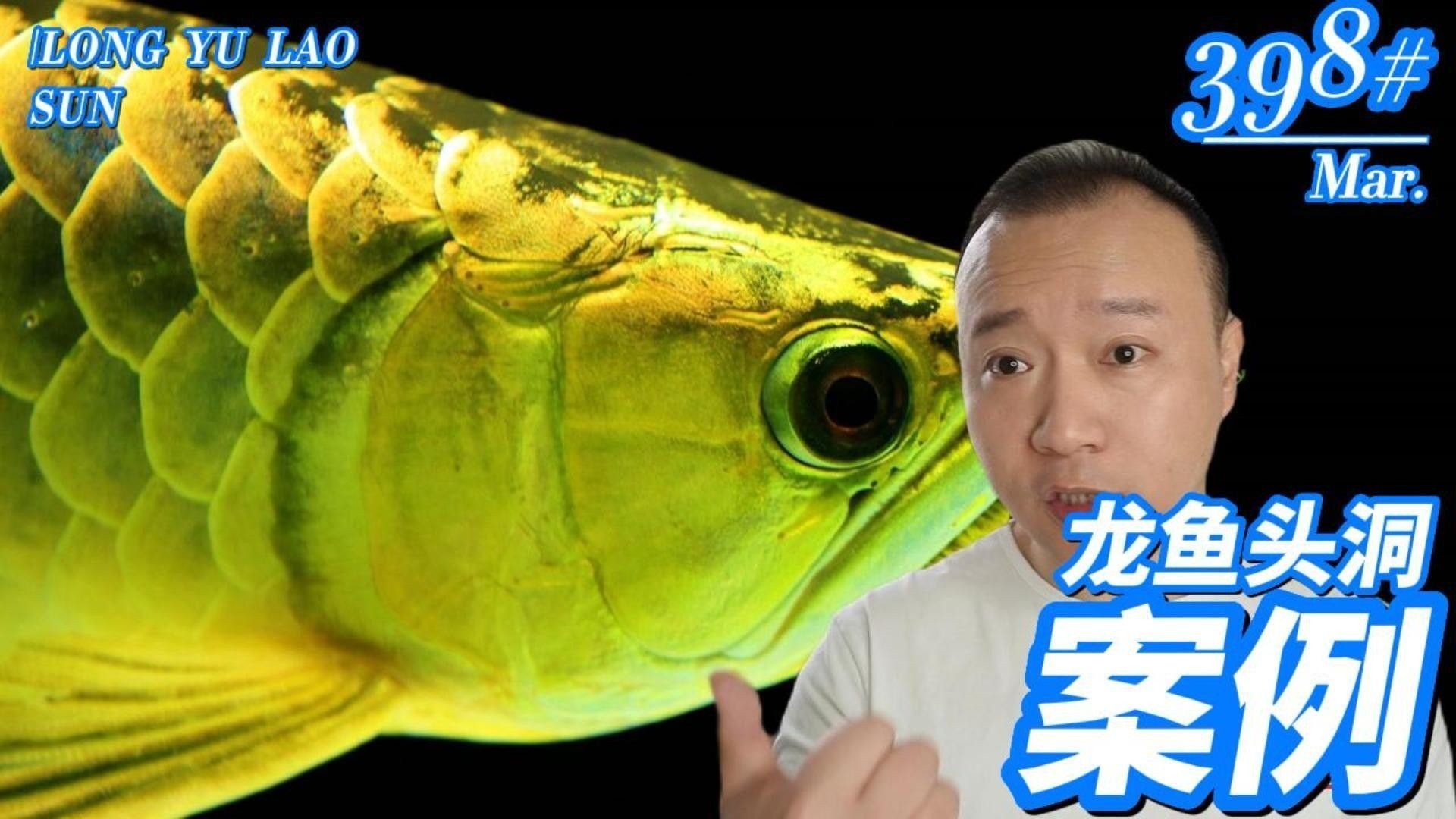 龍魚頭洞病怎么治療（如何治療龍魚頭洞病）