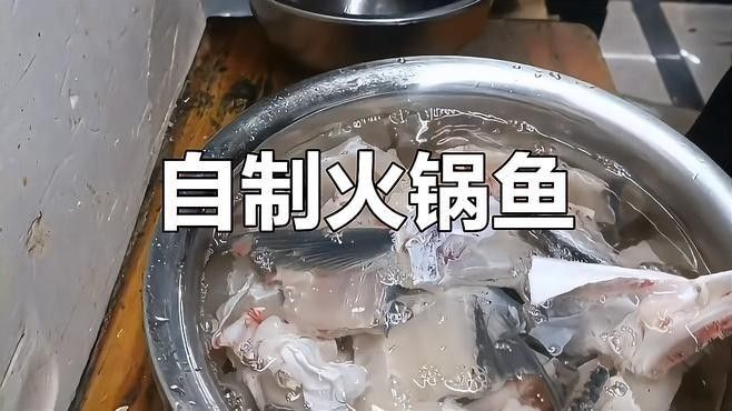 成都哪家龍魚店口碑最好（成都的龍魚店口碑最好的原因）
