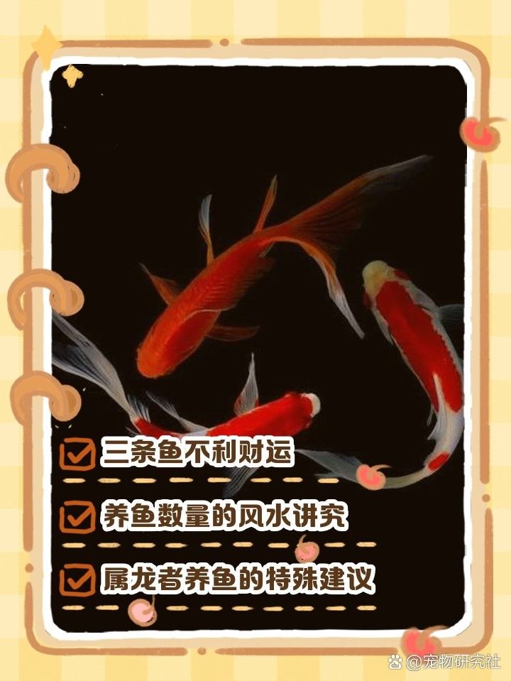 屬龍的人養魚數量有什么講究（屬龍的人養魚貴在持之以恒方見水潤土厚、福澤綿長） 屬龍的人養魚數量有什么講究（屬龍的人養魚貴在持之以恒方見水潤土厚、福澤綿長） 龍魚百科 第4張
