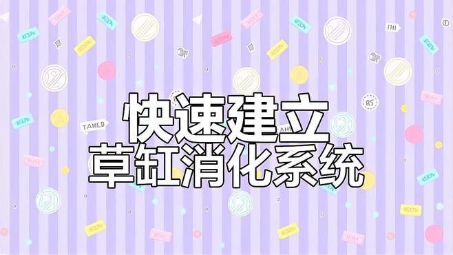 草缸中如何維護硝化系統？（如何維護草缸中硝化系統）