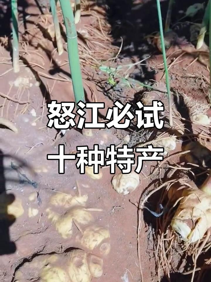 云南怒江州特產(chǎn)