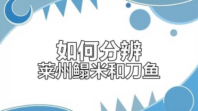 萊州魚的品種（萊州魚的品種包括以下幾種萊州魚的品種及相關信息） 萊州魚的品種（萊州魚的品種包括以下幾種萊州魚的品種及相關信息） 觀賞魚百科 第1張