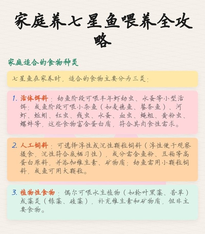 七星魚（七星魚在哪些地區(qū)常見的烹飪方法） 七星魚（七星魚在哪些地區(qū)常見的烹飪方法） 觀賞魚百科 第2張