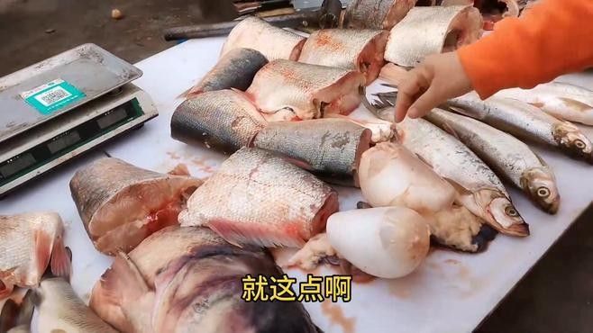 伊春有啥野生魚