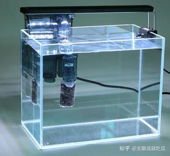 青島龍魚缸定做需要多長時間（青島龍魚缸定做價格范圍是多少？） 青島龍魚缸定做需要多長時間（青島龍魚缸定做價格范圍是多少？） 龍魚百科 第2張